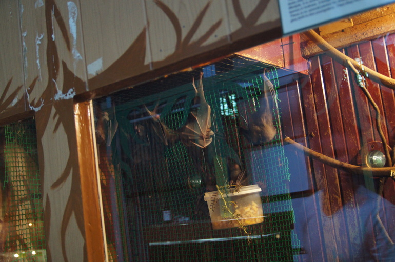 Казань