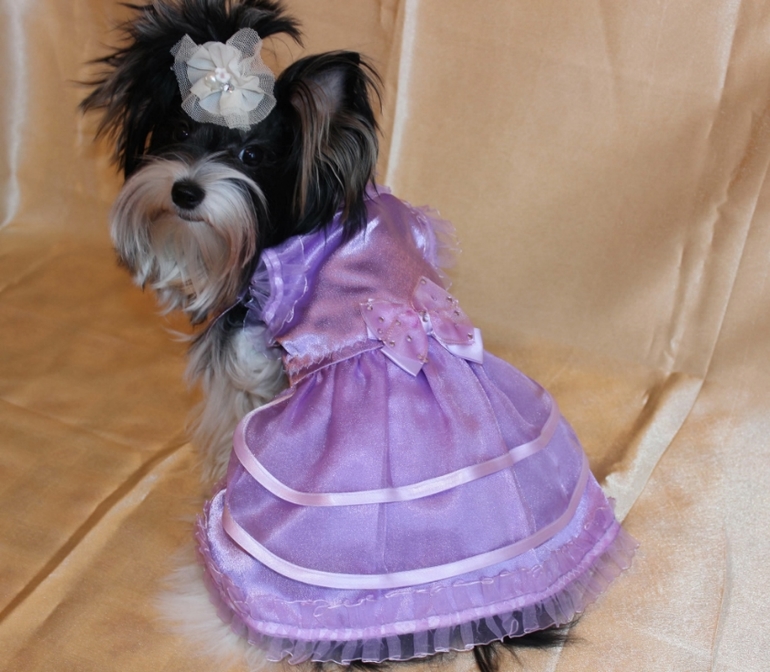 У нас была фотосессия