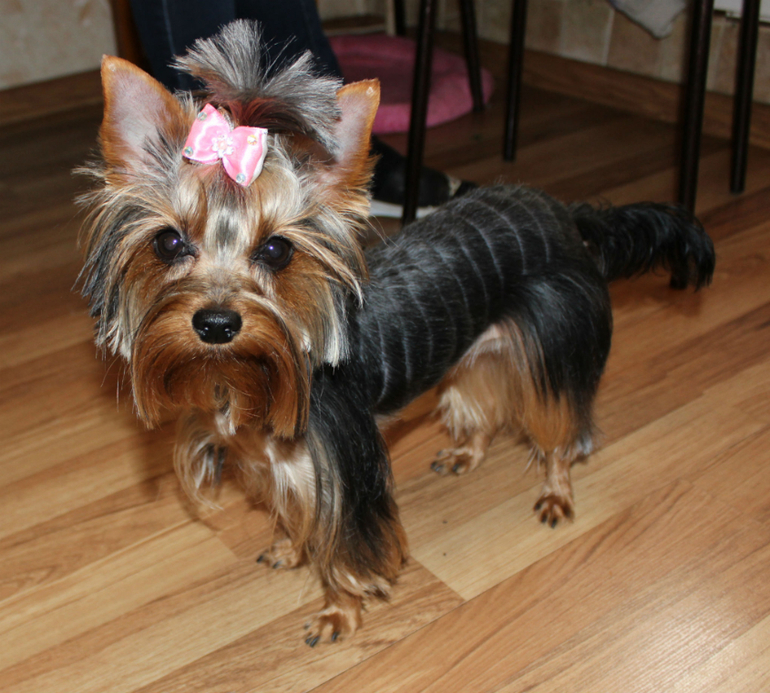 Сегодня приходили.........