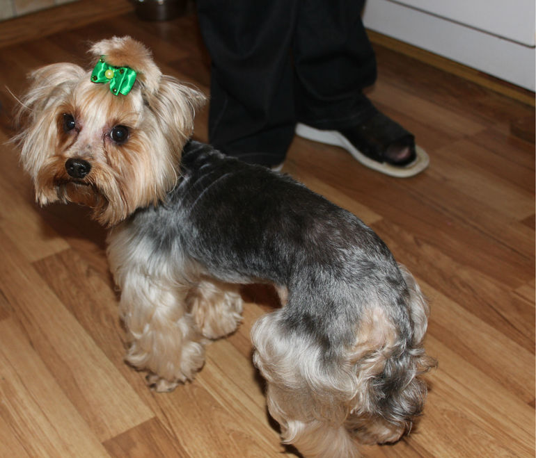 Сегодня приходили.........