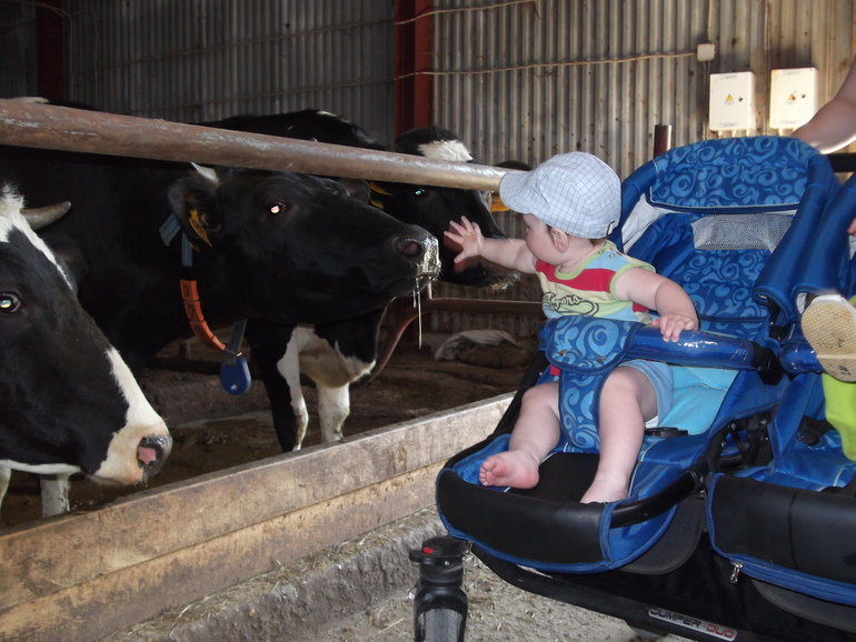 Далеко, далеко, на лугу пасутся ко....