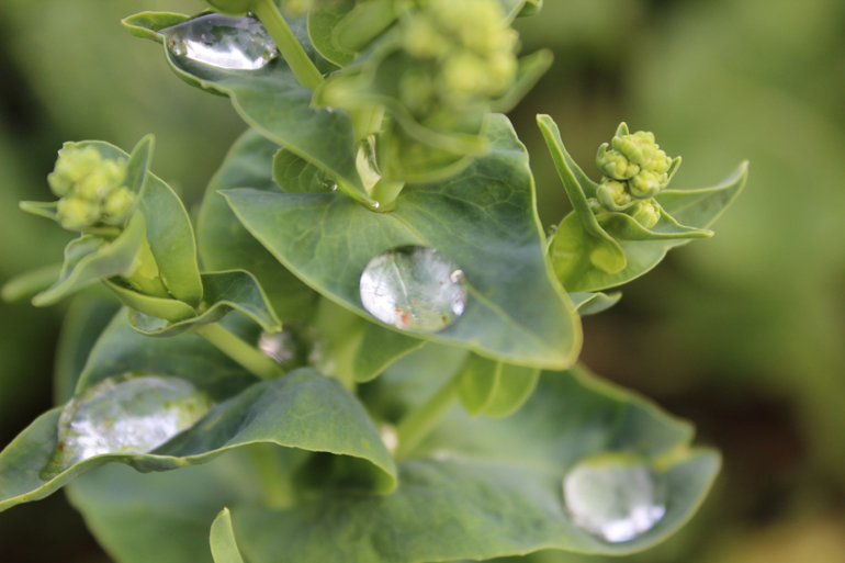 После дождичка))