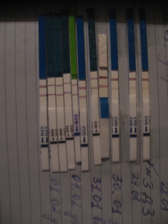 Получилось! )))