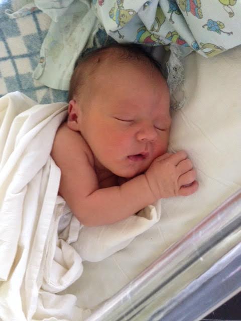 Длинный рассказ о том, как у нас появился Сёмка)