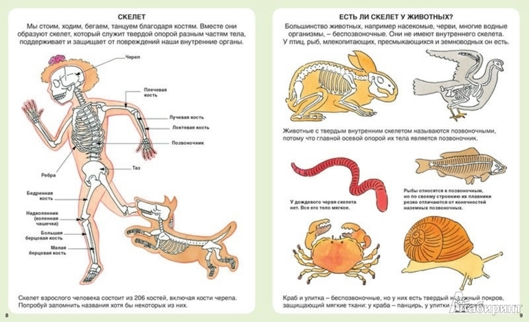 подарок КИРЬЯНУ на год и шесть=))))