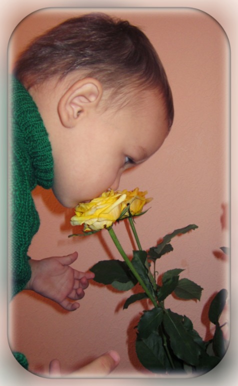 dce2392f70c05a18bed95ce0023d2f28.jpg
