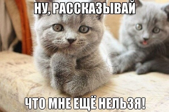 Аха-ха :) к малышиками тоже относиться ;)