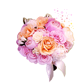590eddd64fa6f2fbdc1b0b61a670e11b.gif