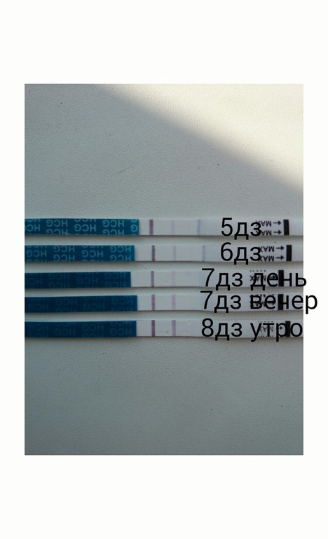 ну вот.... почти успокоилась...