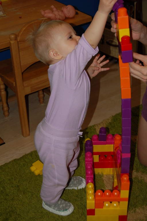 ТН Мои первые сказки.Теремок.