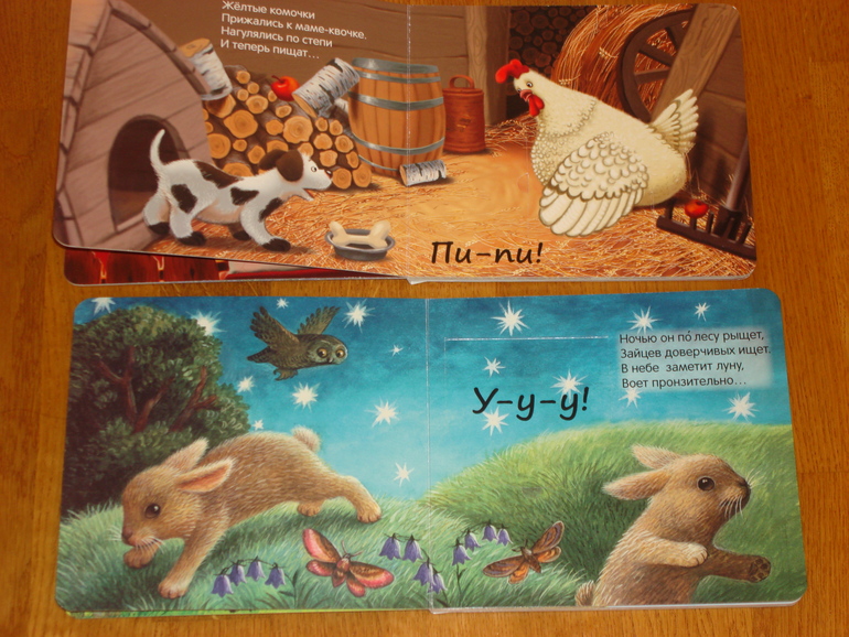 Наши книги до 1 года и после. С  секретными окошками