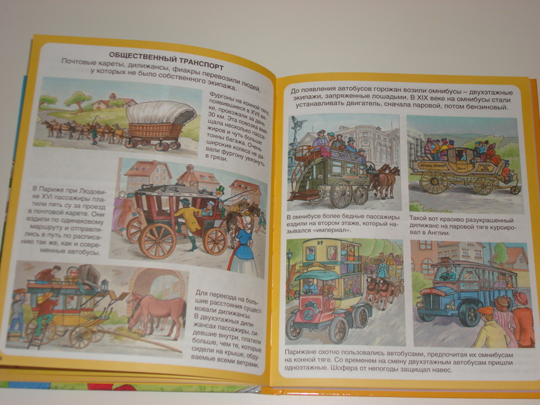 Робинс окошки