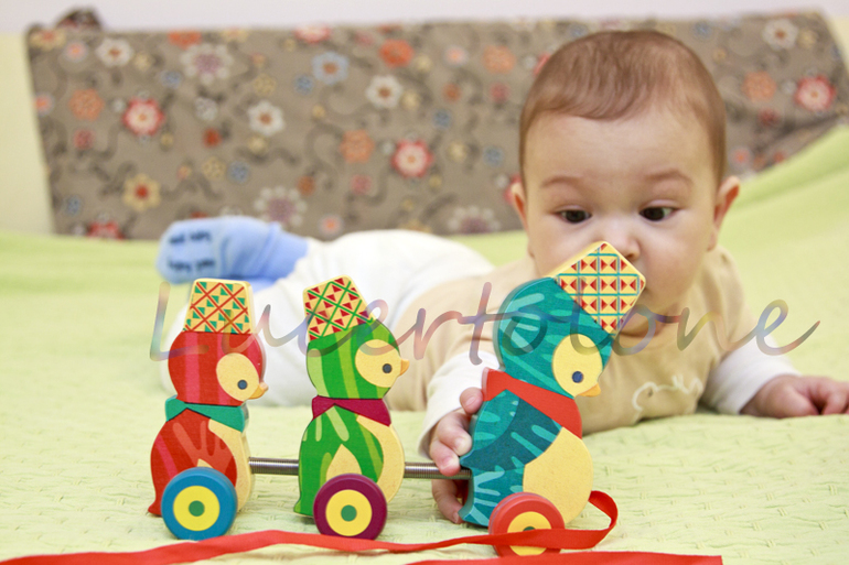 Подарочный фонд. Часть 6. Пингвины для Эммы