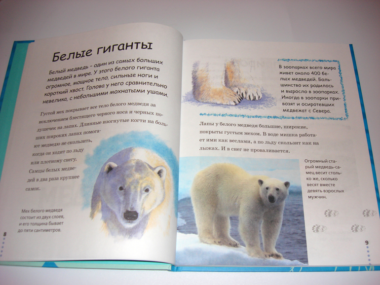 Первый снег...