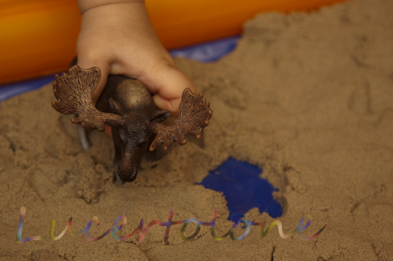 Песочный хваст