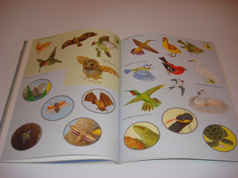 Подарочный фонд. Наклейки на 3 годика