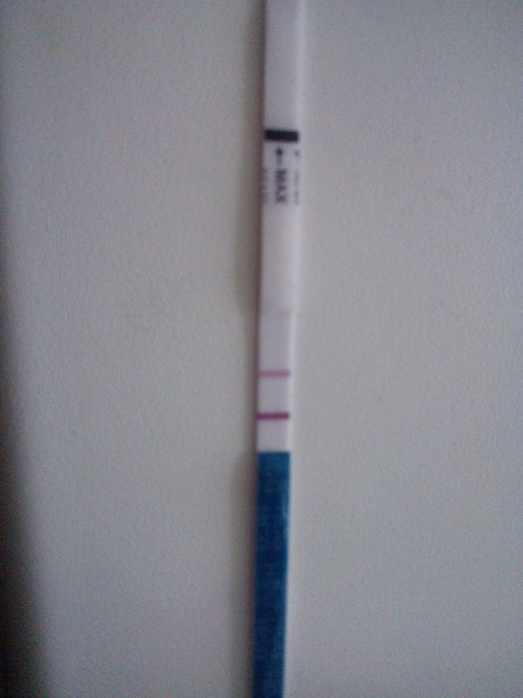 14 ДПО, как обещала