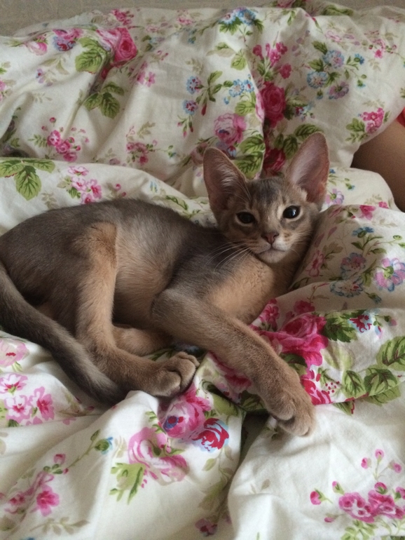 Наша первая выставка!