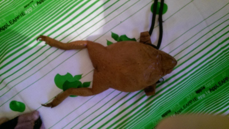 вот что привезли мне из отпуска родители моего мч))