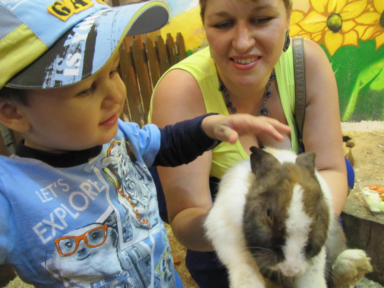 Трогательный зоопарк