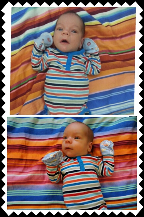 Нам 1,5 месяца!