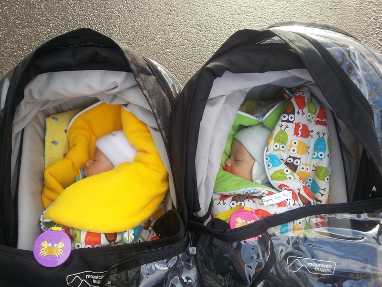 Нам 1,5 месяца!