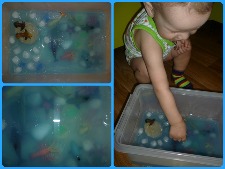 Море из желе