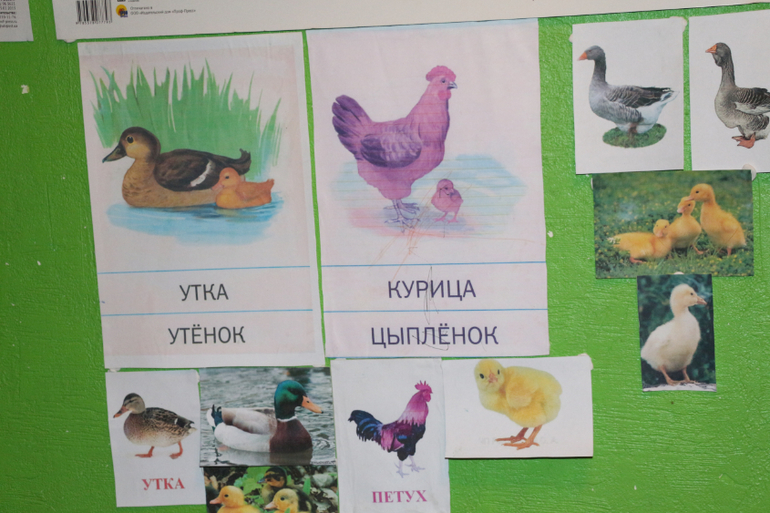 Отчет День №2