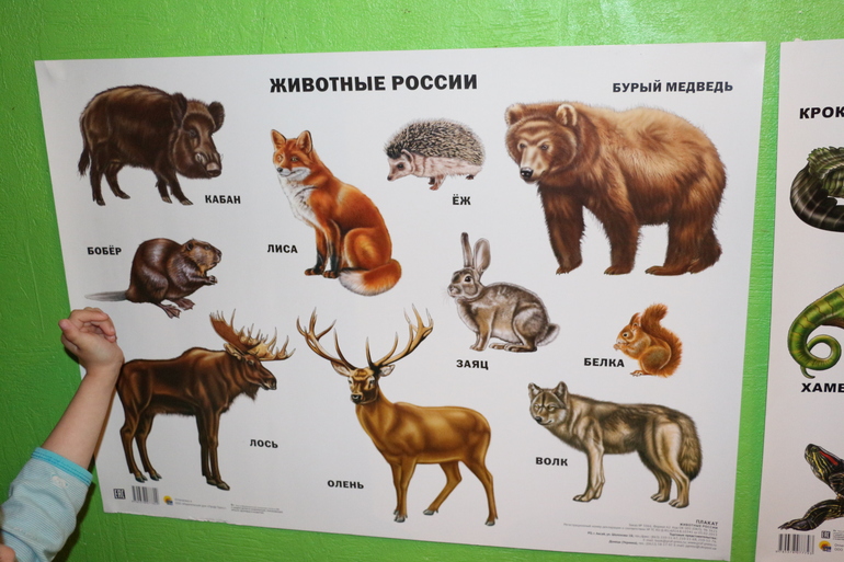Отчет День 4