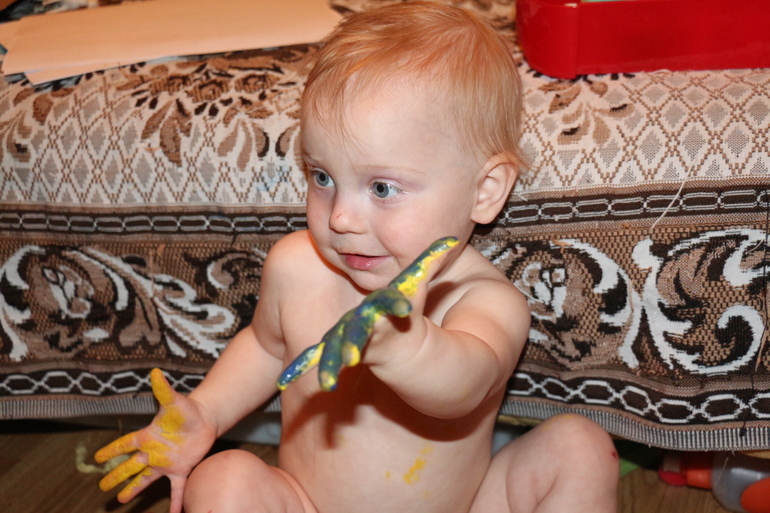 Отчет Курица, петух, цыпленок