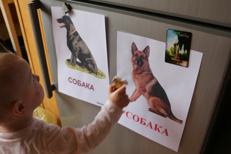 Отчет№1