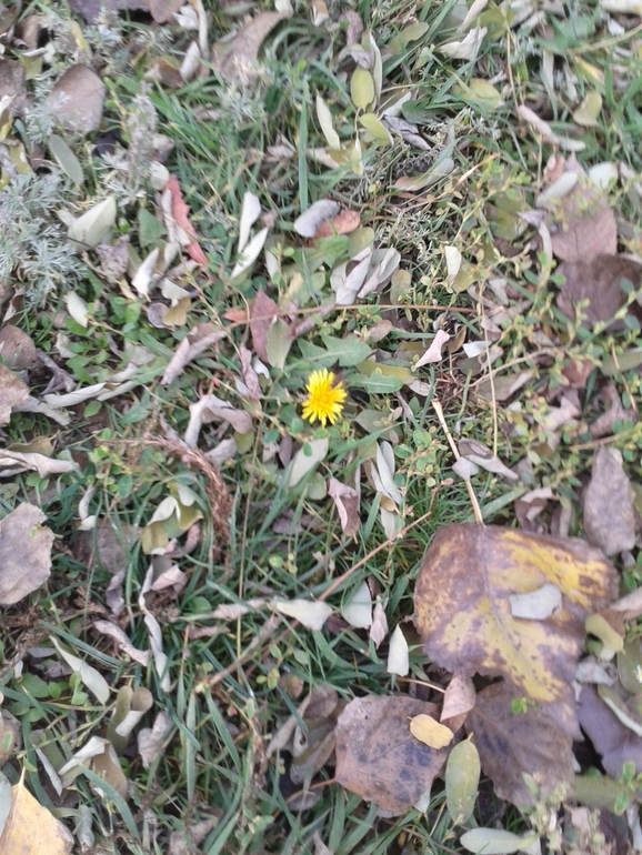 Лента новостей!