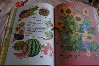 Дневник читателя, май. (2,5г)