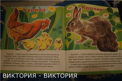 Мини-энциклопедии 2