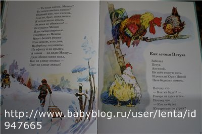 Кот Василий