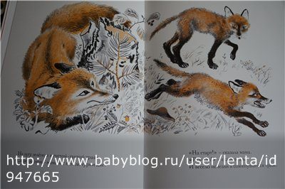 Луговая считалочка - Over In The Meadow - John Langstaff