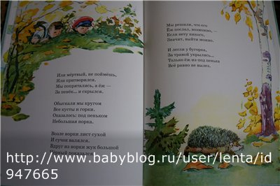 Кот Василий