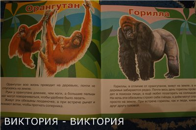 Мини-энциклопедии 2