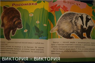 Мини-энциклопедии 2