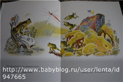 Луговая считалочка - Over In The Meadow - John Langstaff