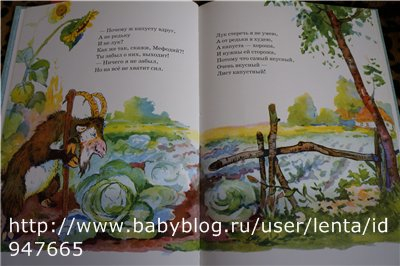 Кот Василий