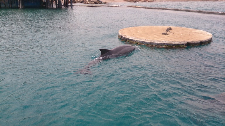 Как  мы  съездили в  Эйлат!