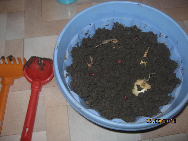 ТН Овощи (по мотивам ФМ от Светланы)