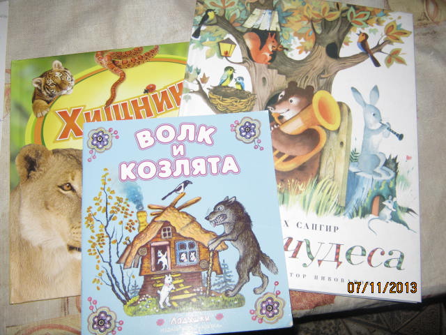ТН Дикие животные (ФМ)