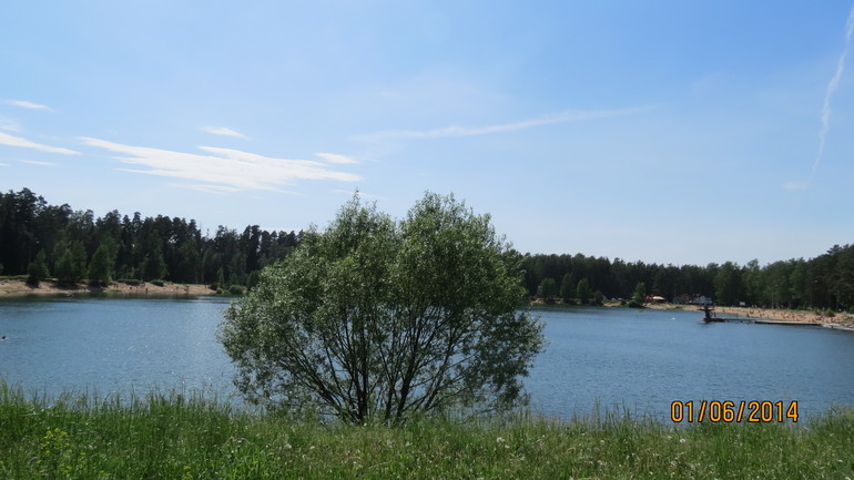 наш день детства