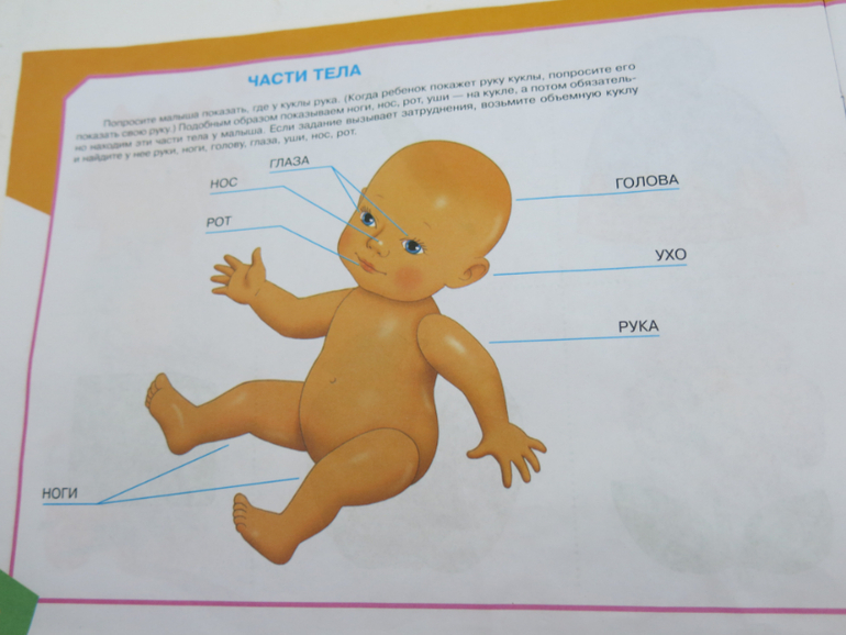 Альбом по развитию речи незаменимый для меня (и всех моих подруг)))