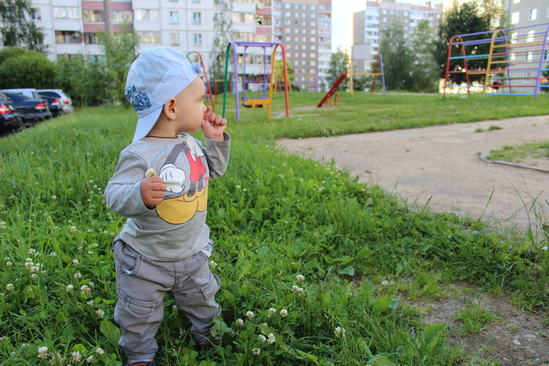 Никитка бежит за голубем))Да и фоточки с прогулки))