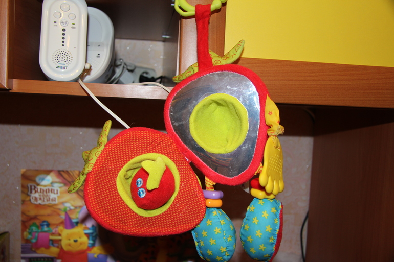 Игрушки пакетом и отдельно до года, вожжи Canpol, почта.