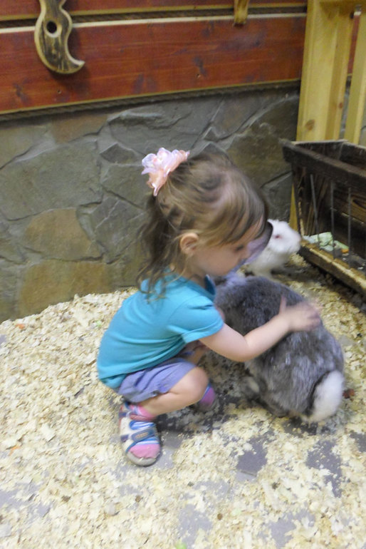 Монтессори-июнь или чем можно быстро занять ребенка.