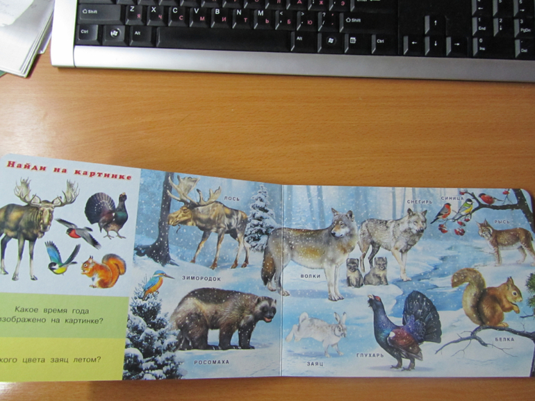 Бюджетные картонки для малышей